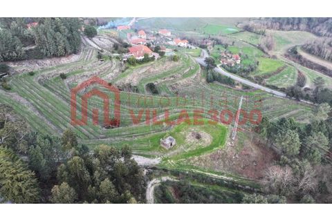 Farm i Amarante, Porto, Amarante - € 795.000 | Ref: MAS_402 - foto 29