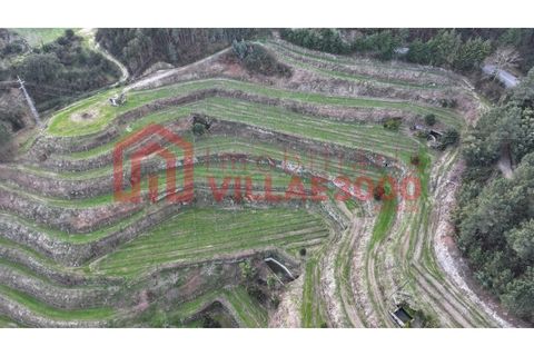 Farm i Amarante, Porto, Amarante - € 795.000 | Ref: MAS_402 - foto 30