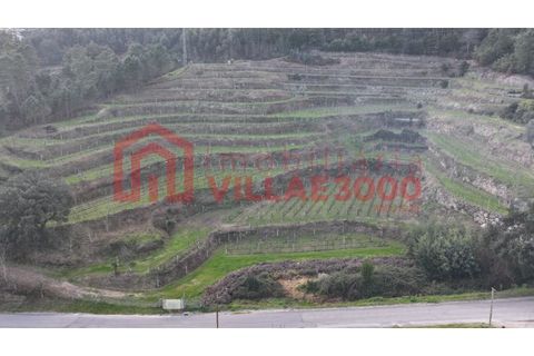 Farm i Amarante, Porto, Amarante - € 795.000 | Ref: MAS_402 - foto 31