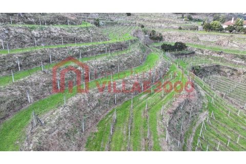 Farm i Amarante, Porto, Amarante - € 795.000 | Ref: MAS_402 - foto 32