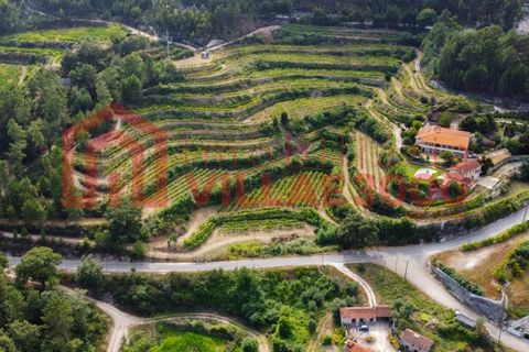 Farm i Amarante, Porto, Amarante - € 795.000 | Ref: MAS_402 - foto 3
