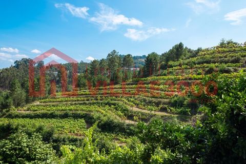 Farm i Amarante, Porto, Amarante - € 795.000 | Ref: MAS_402 - foto 35