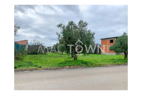 Villa a Assentiz, Santarem, Assentiz - € 99.000 | Ref: M026PD - foto 16
