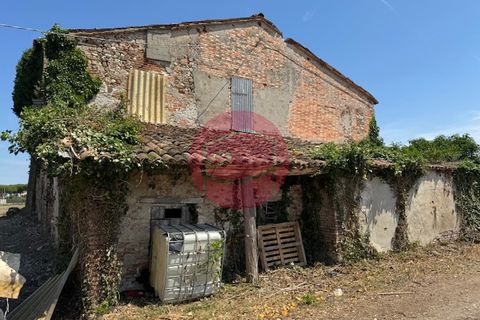 Herregård i Santarcangelo Di Romagna, Rimini, Santarcangelo Di Romagna - € 170 000 | Ref: S-C1-055 - foto 6
