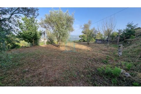 Villa a Penafiel, Porto, Penafiel - € 75.000 | Ref: IMO_448 - foto 11