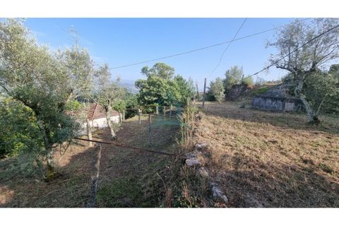 Villa a Penafiel, Porto, Penafiel - € 75.000 | Ref: IMO_448 - foto 13
