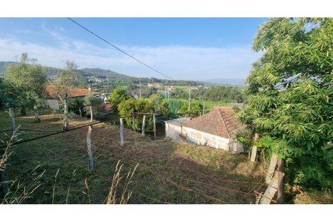 Villa a Penafiel, Porto, Penafiel - € 75.000 | Ref: IMO_448 - foto 14