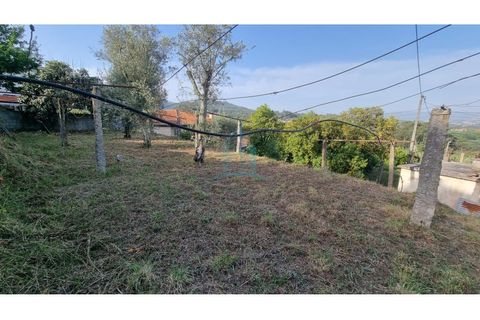 Villa a Penafiel, Porto, Penafiel - € 75.000 | Ref: IMO_448 - foto 19