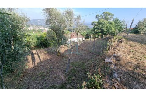 Villa a Penafiel, Porto, Penafiel - € 75.000 | Ref: IMO_448 - foto 20