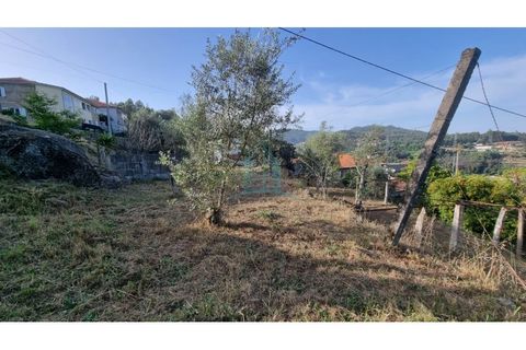 Villa a Penafiel, Porto, Penafiel - € 75.000 | Ref: IMO_448 - foto 23