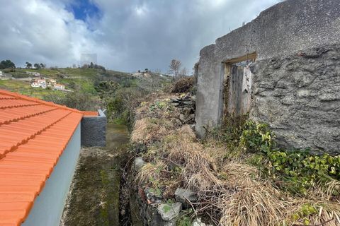 Byhus i Calheta, Madeira, Calheta - € 140.000 | Ref: KWPT-012160 - foto 9