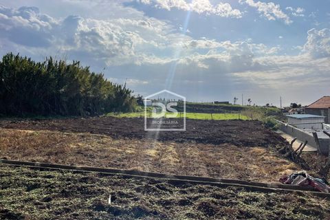 Villa a Calheta, Madeira, Calheta - € 125.000 | Ref: DSF194 - foto 6