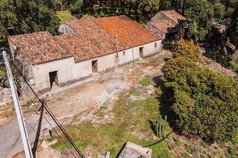 Villa i Monchique, Faro, Monchique - € 575.000 | Ref: Qt-872 - foto 1