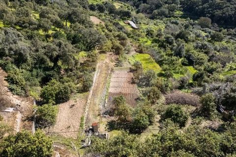 Villa i Monchique, Faro, Monchique - € 575.000 | Ref: Qt-872 - foto 2