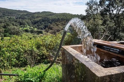Villa i Monchique, Faro, Monchique - € 575.000 | Ref: Qt-872 - foto 3