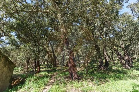 Villa i Monchique, Faro, Monchique - € 575.000 | Ref: Qt-872 - foto 4