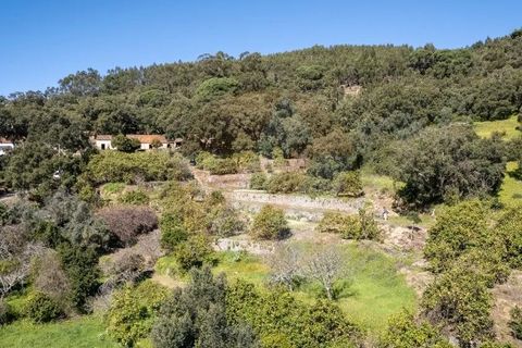 Villa i Monchique, Faro, Monchique - € 575.000 | Ref: Qt-872 - foto 5