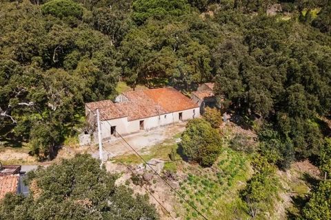Villa i Monchique, Faro, Monchique - € 575.000 | Ref: Qt-872 - foto 6