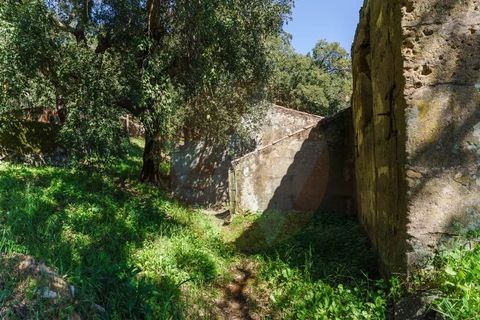 Villa i Monchique, Faro, Monchique - € 575.000 | Ref: Qt-872 - foto 7