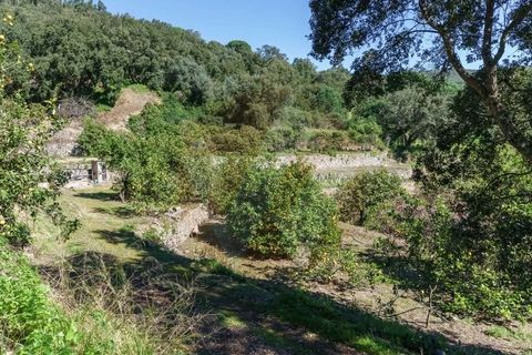 Villa i Monchique, Faro, Monchique - € 575.000 | Ref: Qt-872 - foto 9