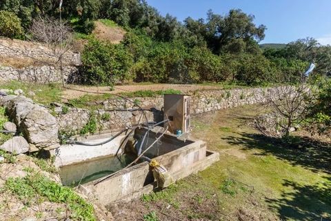 Villa i Monchique, Faro, Monchique - € 575.000 | Ref: Qt-872 - foto 11