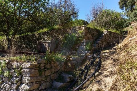 Villa i Monchique, Faro, Monchique - € 575.000 | Ref: Qt-872 - foto 12