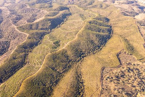 Helårsgrund i Odemira, Beja, Odemira - € 1.200.000 | Ref: 10234 - foto 5