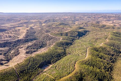 Helårsgrund i Odemira, Beja, Odemira - € 1.200.000 | Ref: 10234 - foto 10