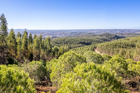 Helårsgrund i Odemira, Beja, Odemira - € 1.200.000 | Ref: 10234 - foto 1
