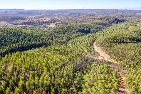 Helårsgrund i Odemira, Beja, Odemira - € 1.200.000 | Ref: 10234 - foto 2