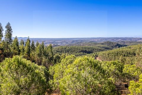 Helårsgrund i Odemira, Beja, Odemira - € 1.200.000 | Ref: 10234 - foto 3