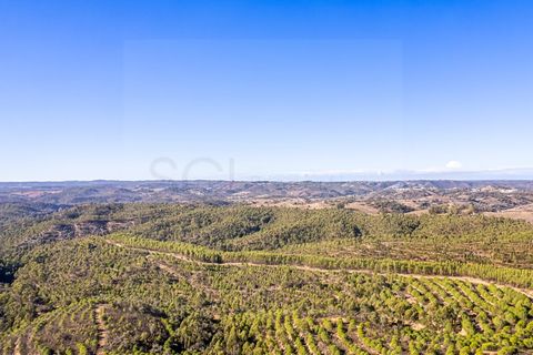 Helårsgrund i Odemira, Beja, Odemira - € 1.200.000 | Ref: 10234 - foto 11