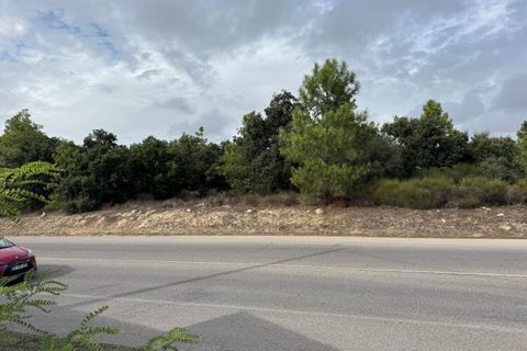 Helårsgrund i Seixal, Setubal, Seixal - € 845.000 | Ref: 10164 - foto 17