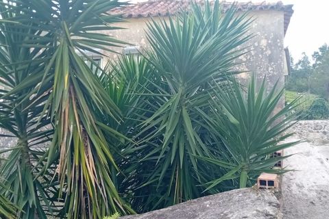 Villa i Viana do Castelo, Viana do Castelo, Viana do Castelo - € 198.000 | Ref: SF-SAFTI:006426 - foto 2