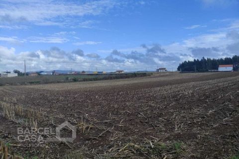 Terra a Barqueiros, Braga, Barqueiros - € 110.000 | Ref: 173/22 - foto 2