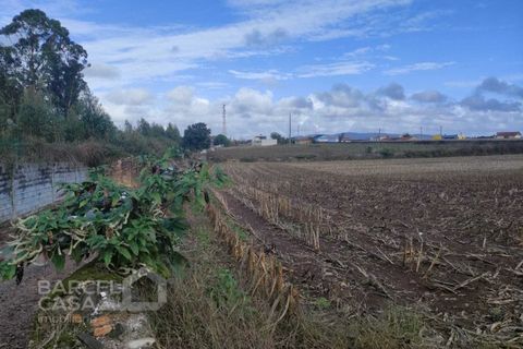 Terra a Barqueiros, Braga, Barqueiros - € 110.000 | Ref: 173/22 - foto 3