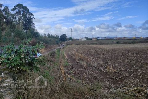 Terra a Barqueiros, Braga, Barqueiros - € 110.000 | Ref: 173/22 - foto 4