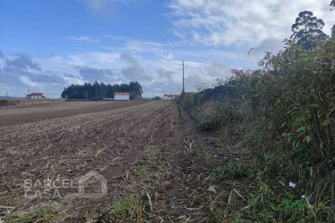 Terra a Barqueiros, Braga, Barqueiros - € 110.000 | Ref: 173/22 - foto 5
