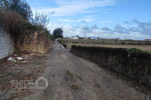 Terra a Barqueiros, Braga, Barqueiros - € 110.000 | Ref: 173/22 - foto 6