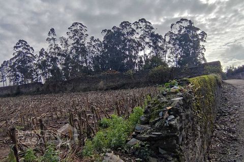 Terra a Barqueiros, Braga, Barqueiros - € 110.000 | Ref: 173/22 - foto 7