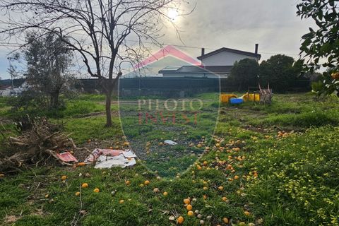 Helårsgrund i Viseu, Viseu, Viseu - € 85.000 | Ref: 2151/V - foto 4