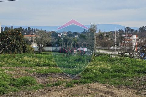 Helårsgrund i Viseu, Viseu, Viseu - € 85.000 | Ref: 2151/V - foto 7