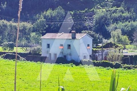 Landejendom i Lousa, Coimbra, Lousa - € 54.900 | Ref: 1121130/25CB - foto 5
