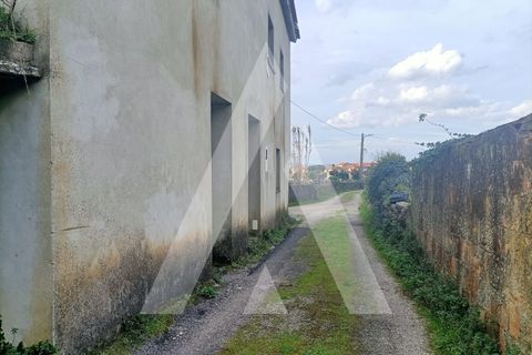 Landejendom i Lousa, Coimbra, Lousa - € 54.900 | Ref: 1121130/25CB - foto 7