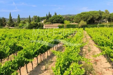 Villa i Grimaud, Var, Grimaud - € 2.100.000 | Ref: 83042604 - foto 26