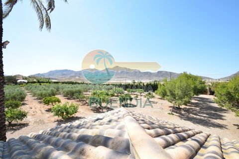 Landejendom i Mazarron, Murcia, Mazarron - € 690.000 | Ref: 000318/9522 - foto 16
