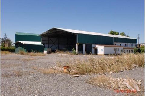 Erhvervsejendom i Crato, Portalegre, Crato - € 175.000 | Ref: PTG-C-146 - foto 1