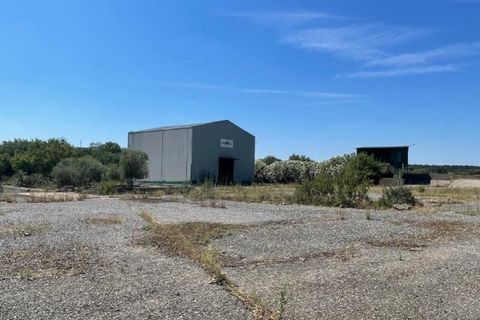 Erhvervsejendom i Crato, Portalegre, Crato - € 175.000 | Ref: PTG-C-146 - foto 3