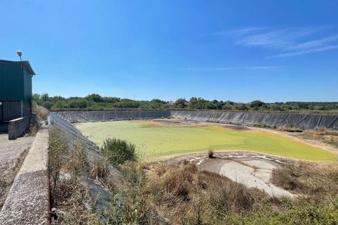 Erhvervsejendom i Crato, Portalegre, Crato - € 175.000 | Ref: PTG-C-146 - foto 4