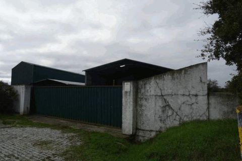 Erhvervsejendom i Crato, Portalegre, Crato - € 175.000 | Ref: PTG-C-146 - foto 11